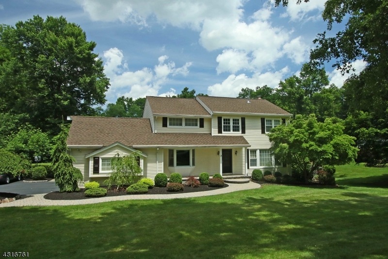 232 Carol Jean Way, Branchburg, NJ 08876 - photo 1