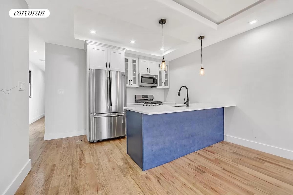 166 Autumn Ave unit 1, Brooklyn, NY 11208 - photo 1