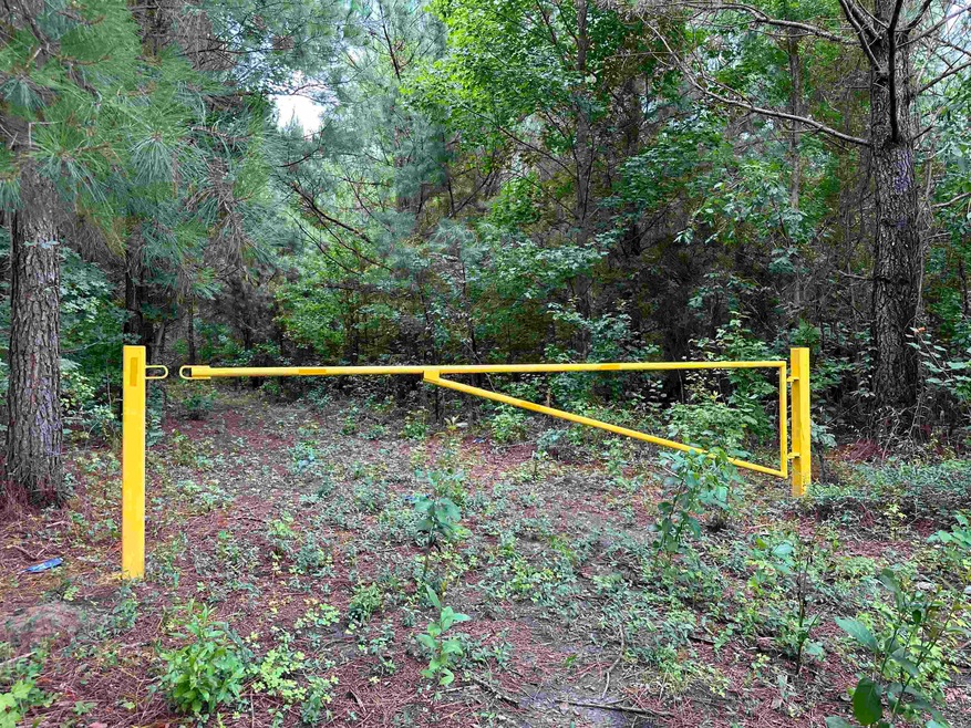 View of gate