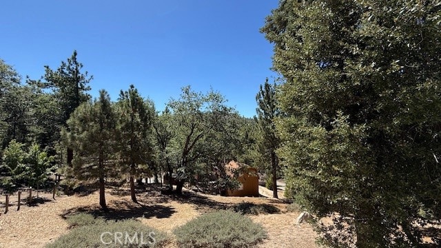 0 Piedras Grande unit IV25186085, Green Valley Lake, CA 92341 - photo 1