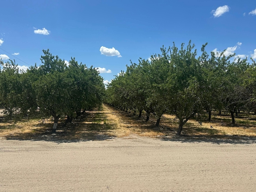 12250 S Jameson Ave, Fresno, CA 93706 - photo 1