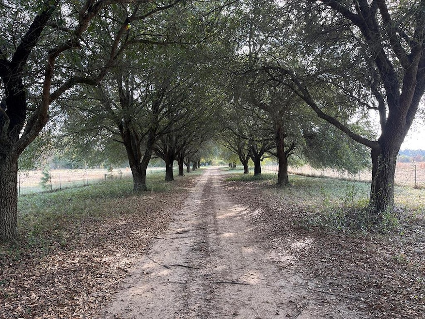 13962 Alabama 95, Abbeville, AL 36310 - photo 1