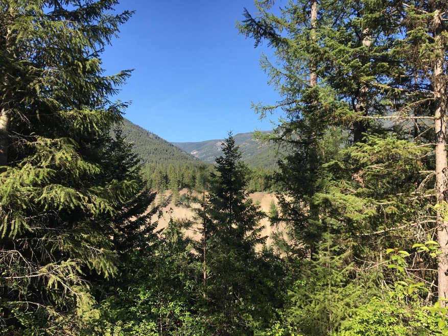 126 Deer Run Rd, Trout Creek, MT 59874 - photo 1