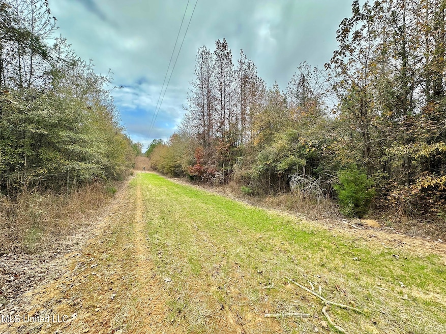 6 County Road 3122, McCool, MS 39108 - photo 1