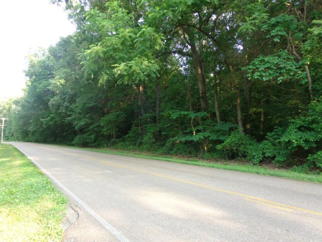 0 Reynoldsburg Rd, Paris, TN 38242 - photo 1