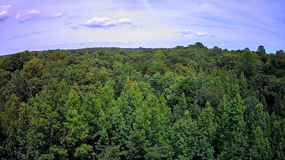 0 Hampton Way unit 1519768, Rising Fawn, GA 30738 - photo 1