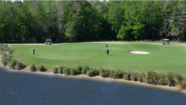 Cypress 15 Green