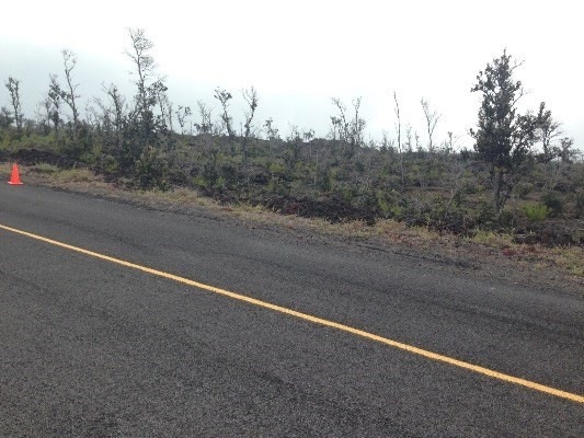 Beautiful native A'ali'i & sm Ohia trees throughout!