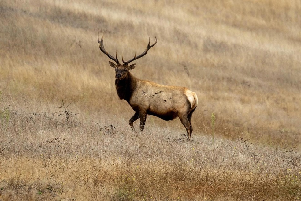 Sold $2,900,000 • Co-Listing Agent