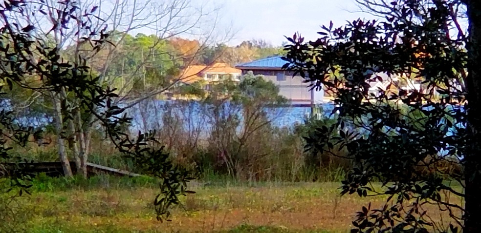View from front door