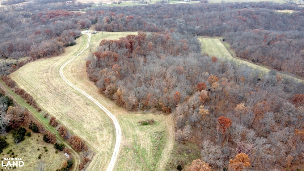 15966 Pine Trail, Unionville, MO 63565 - photo 1