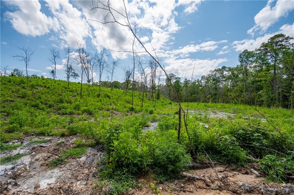 0 Ct unit 968702, Broken Bow, OK 74728 - photo 1