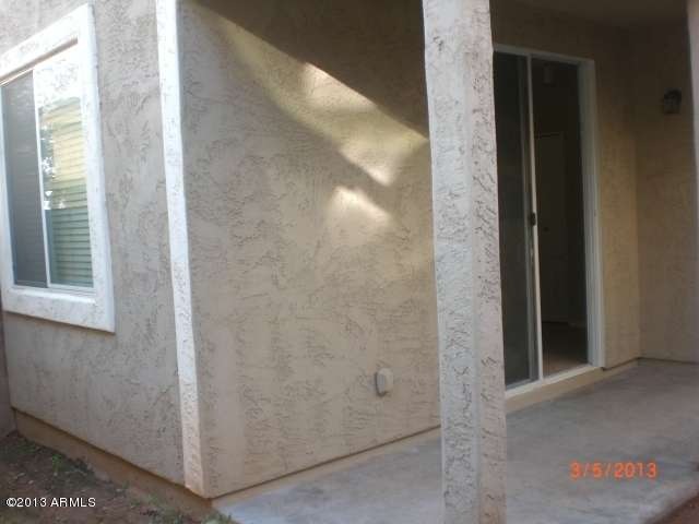 back view