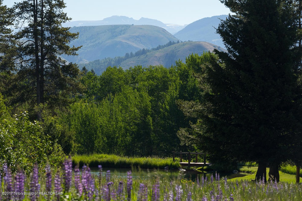 Wildflowers & Sleeping Indian