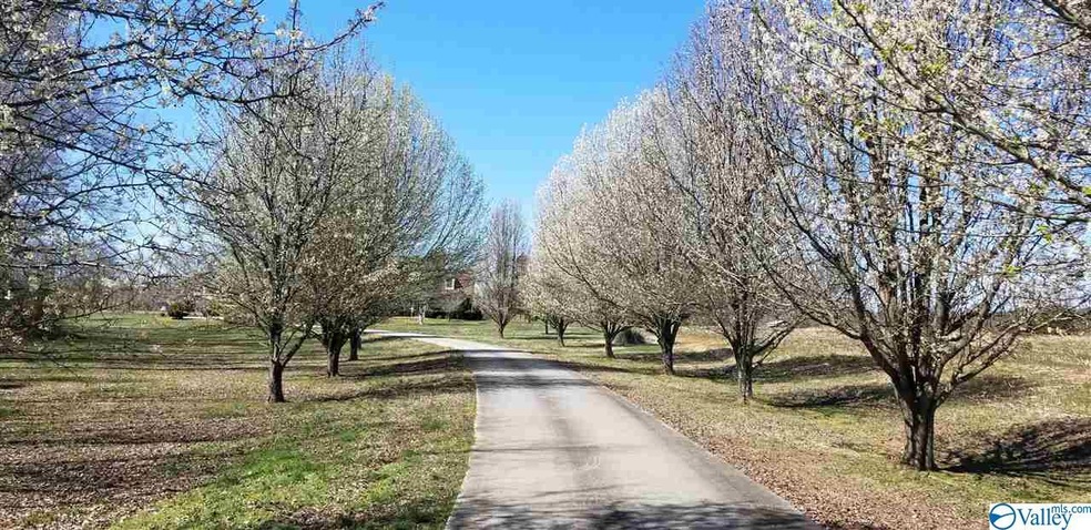 Drive up your full concrete drive between the beautiful trees to the home.   Natural gas was run down Slate Rd last year, and will be finished this summer and avail for hook-up!