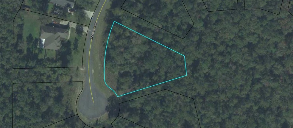 0 Daffodil Cove unit 313623, Crawfordville, FL 32327 - photo 1