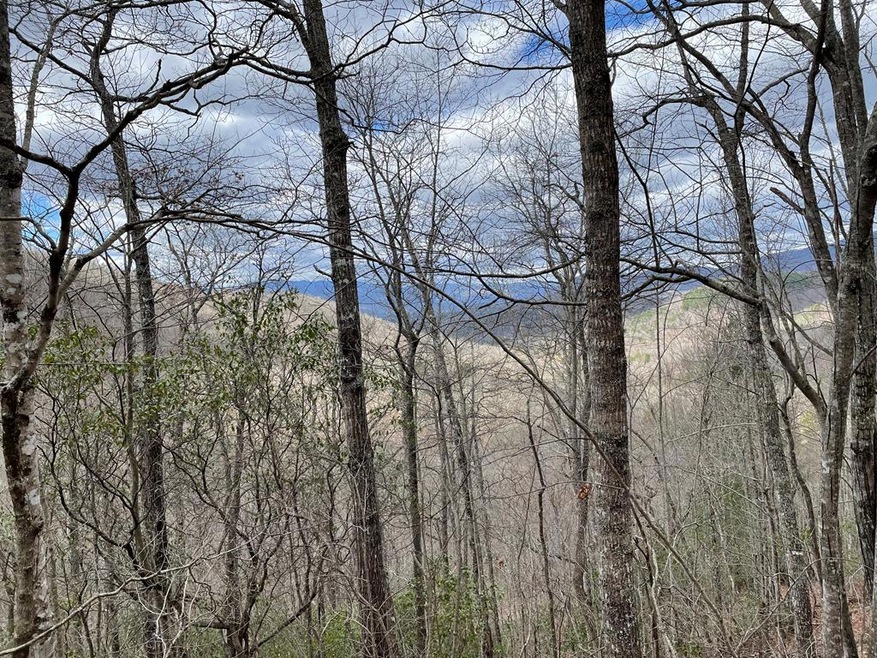 00 Hummingbird Hill Rd, Franklin, NC 28734 - photo 1