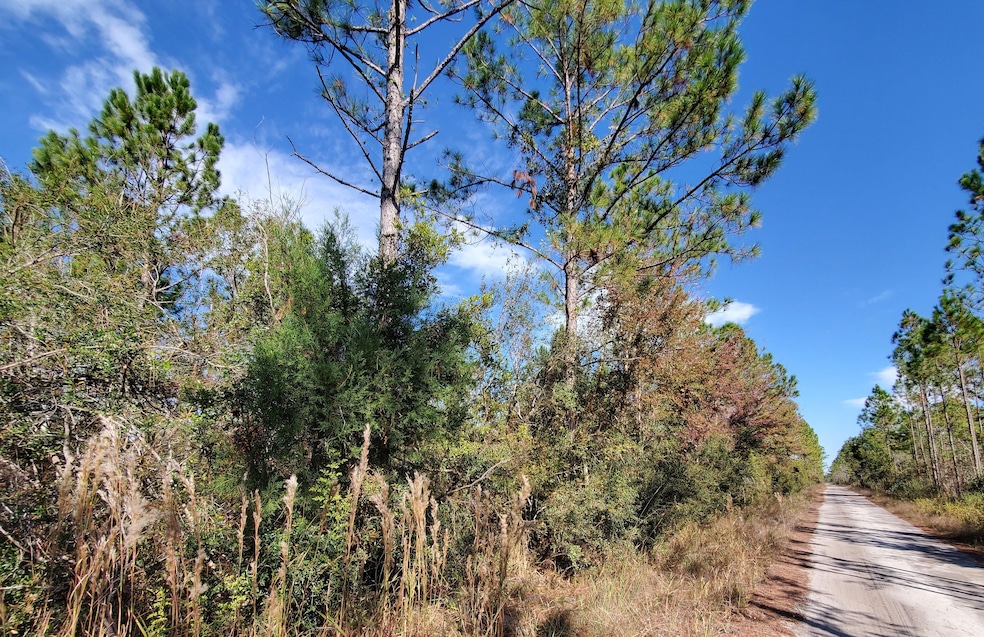 0 County Line Rd unit 19604811, Lee, FL 32059 - photo 1