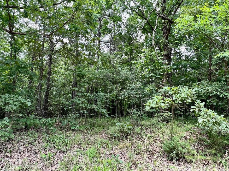 6.86 acres Greene 609 Rd, Paragould, AR 72450 - photo 1