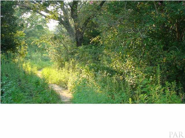 1451 W Detroit Blvd, Pensacola, FL 32534 - photo 1