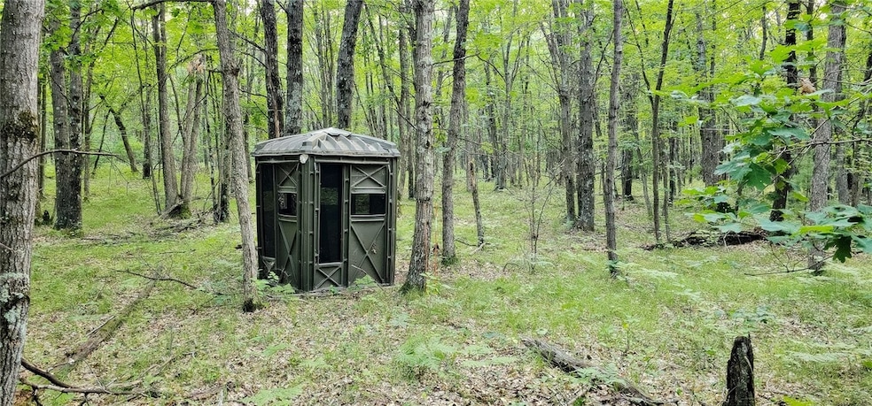 Deer Blind