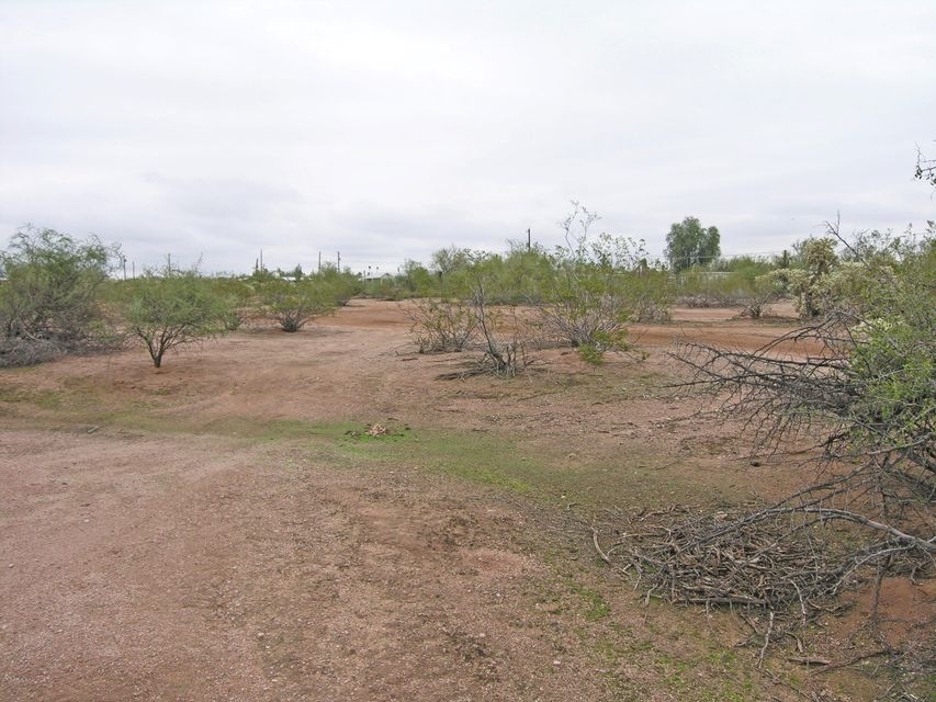 Lot East