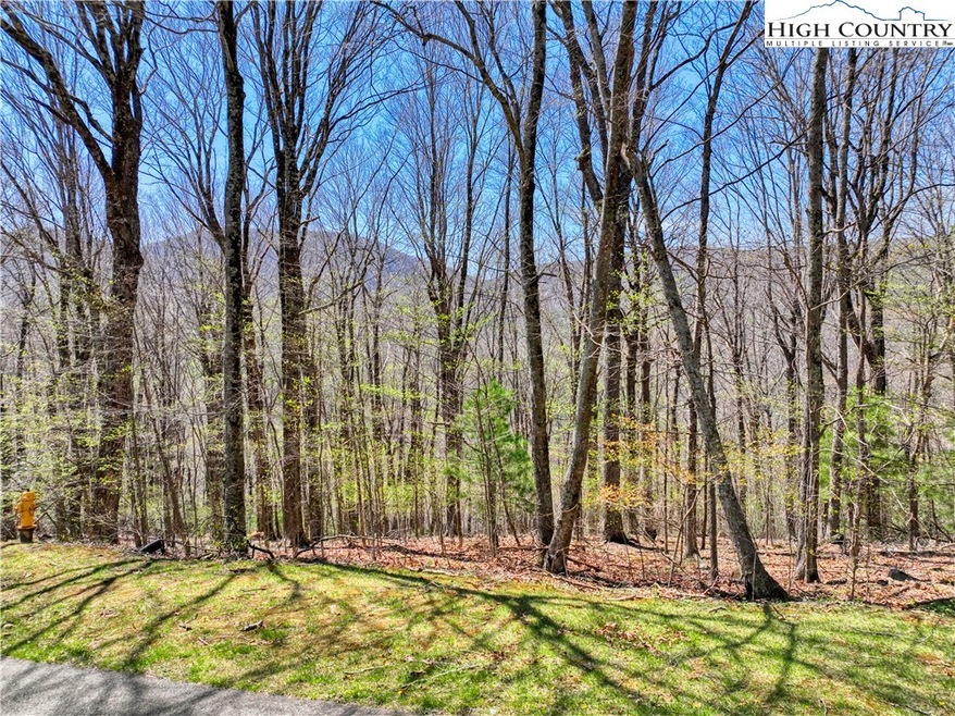 Gorgeous potential view with select cutting!