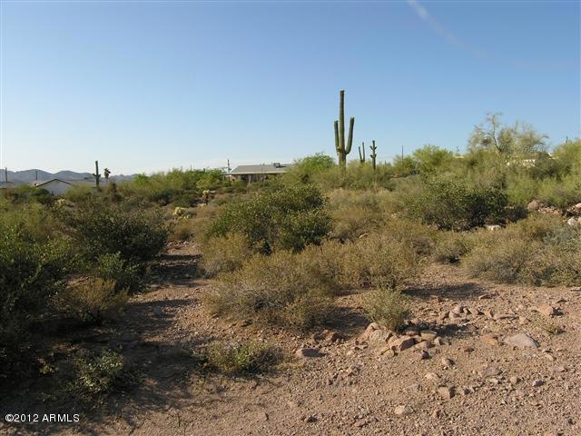 1.13 acre lot