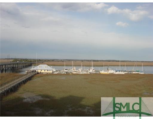 View. Fantastic views or the marsh and Bull River 