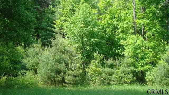 0 S Greenfield Rd unit lot B 201320573, Greenfield Center, NY 12833 - photo 1