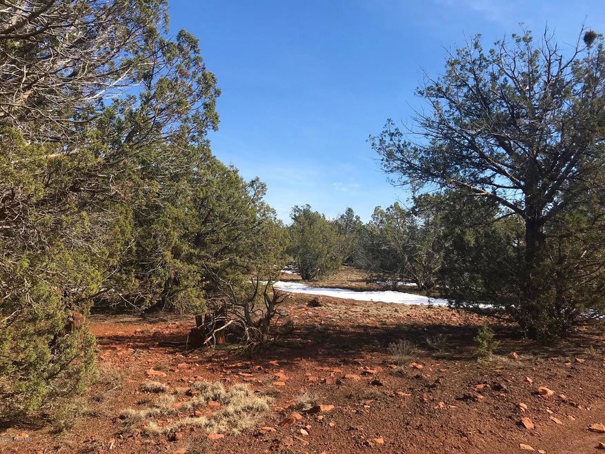 41 Bullock Rd, Ash Fork, AZ 86320 - photo 1