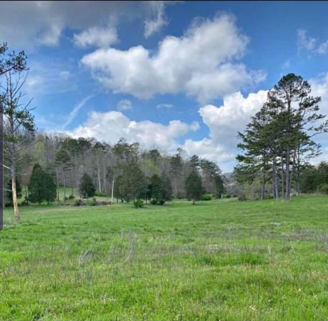 1923 Meece Rd, Somerset, KY 42501 - photo 1