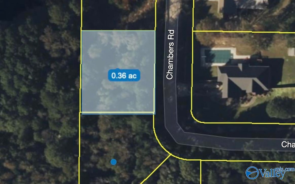 Lot 24 Chambers Rd, Arab, AL 35016 - photo 1