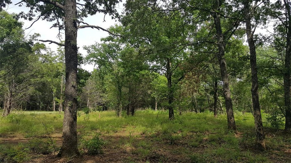 Lot 63 Riner Rd, Pottsboro, TX 75076 - photo 1