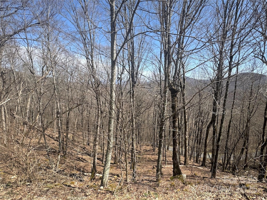 14 & 16 Overlook Dr, Mars Hill, NC 28754 - photo 1