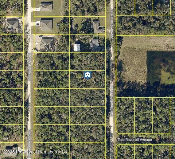 LOT 1021 Carolina Dove Rd, Brooksville, FL 34614 - photo 1