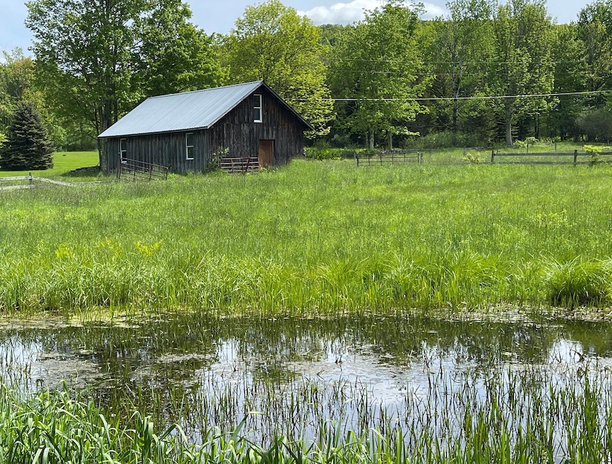 Yard