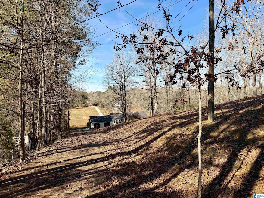 1609 Annie Lee Rd, Trussville, AL 35173 - photo 1