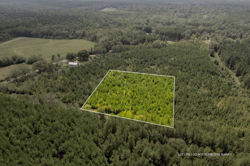 Parcel 4 Dora Barber, Tylertown, MS 39667 - photo 1