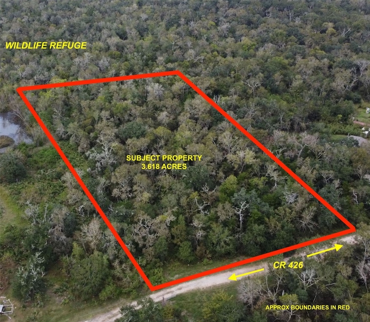 0 County Road 426 unit 91392966, Brazoria, TX 77422 - photo 1