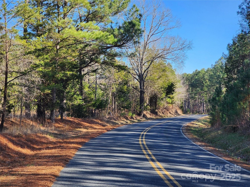 1342 Mcknight Rd, Smyrna, SC 29743 - photo 1