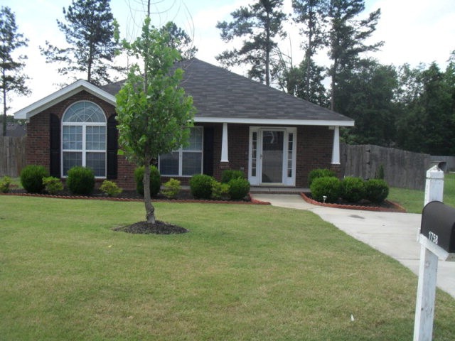 Main View