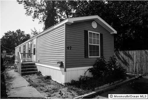 Primary Photo