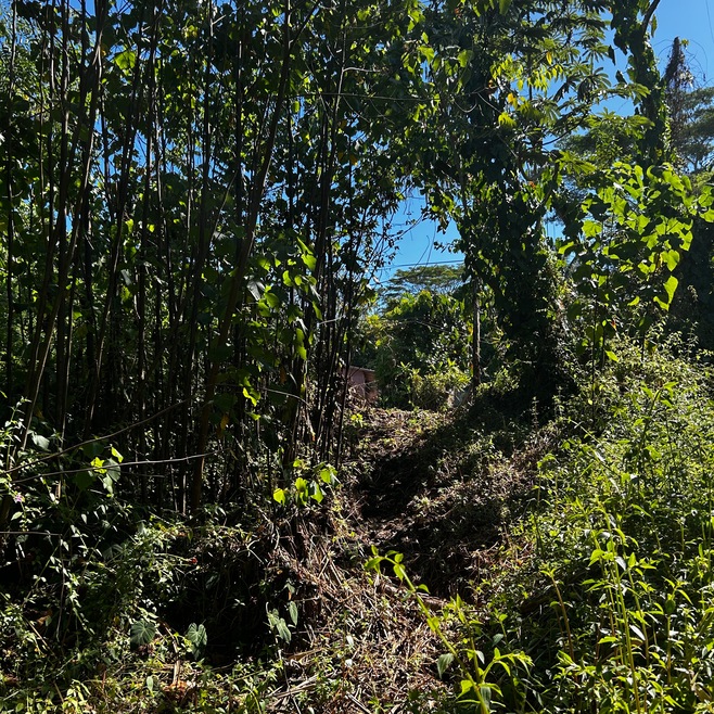 0 Oopu St unit 725856, Hawaiian Beaches, HI 96778 - photo 1