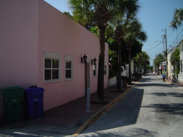 Primary Photo