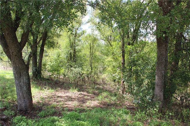 0 Dove Hill Ln unit 4238271, Kyle, TX 78640 - photo 1