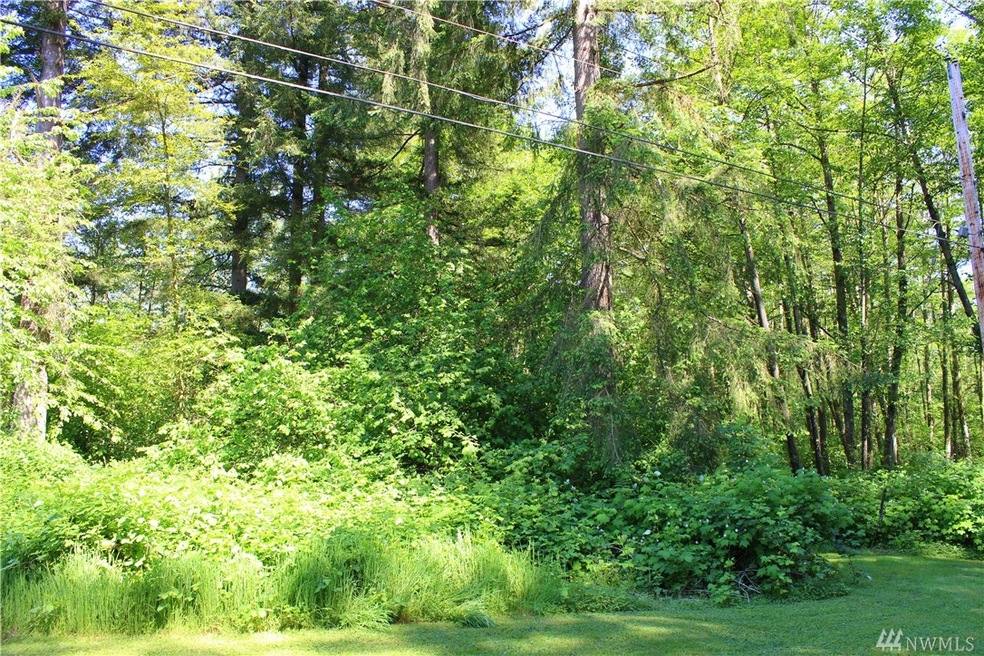 1018 Silver Springs Way, Stanwood, WA 98292 - photo 1