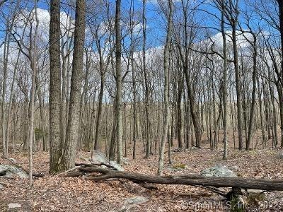 38 Mountain Rd, Redding, CT 06896 - photo 1