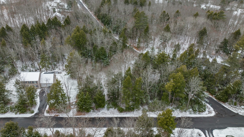 49 chickadee drone-10
