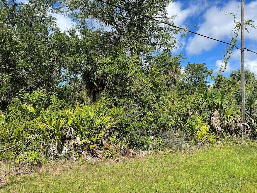 163 Hardee Way, Rotonda West, FL 33947 - photo 1